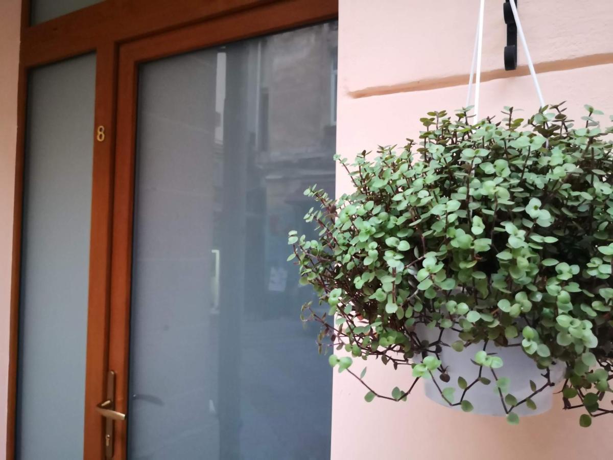 Затишні Апартаменти, Вулиця Дерибасівська, 13 Odessa Esterno foto